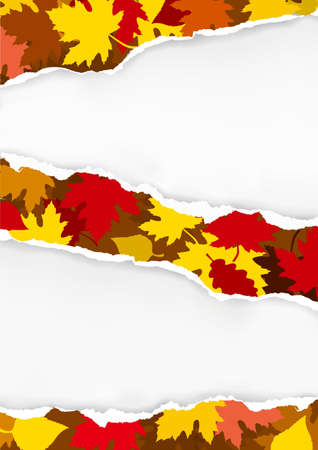 Ripped paper with autumn leaves. Illustration of torn paper with autumn leaves. Place for your image or text. Vector available.のイラスト素材