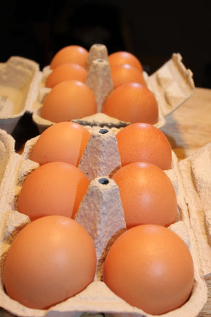 eggs
