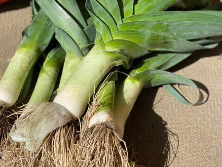 Closeup of fresh leeks