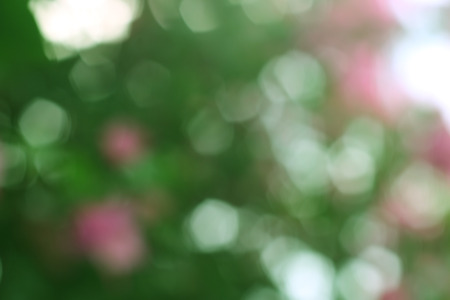 abstract Colorful Natural Bokeh circles backgroundの写真素材