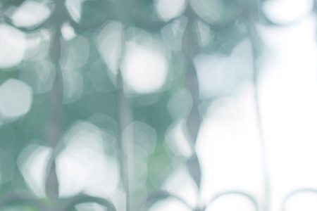 abstract blue Natural Bokeh circles backgroundの写真素材