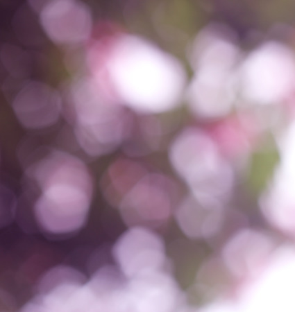 abstract Colorful Natural Bokeh circles backgroundの写真素材