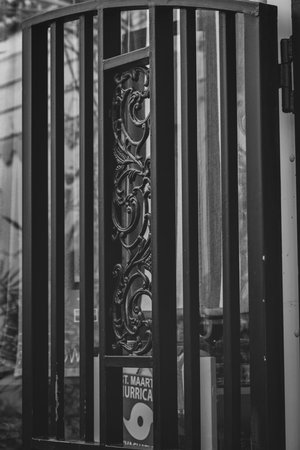 Black and white photo of a wrought iron door on a building.の写真素材