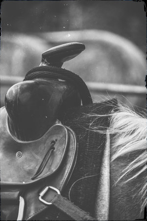 Black-and-white close-up of a western saddle horn and rope resting on a horseâs back, capturing the rugged simplicity and timeless spirit of ranch life.の写真素材
