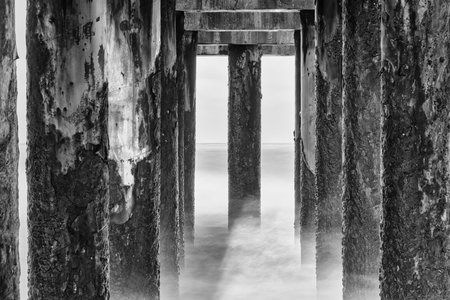 A fine-art black-and-white image captured beneath a pier along the Atlantic coast. The composition emphasizes symmetry, texture, and the interplay of light and shadow, as surf and structure merge into a timeless seascape.の写真素材