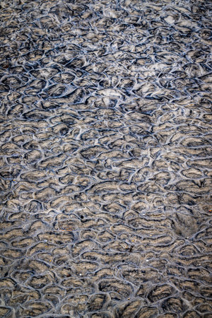 Intricate black and tan sand formations appear like brushstrokes from the receding tide. Captured on the Atlantic coast, the image celebrates the intersection of geology and motion.の写真素材