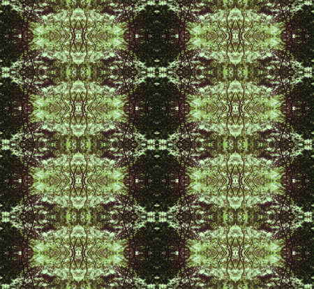 Nature Patternの写真素材