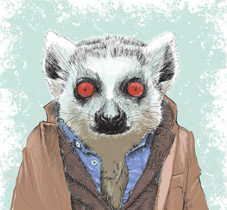 Dapper Lemur Illustrationの写真素材
