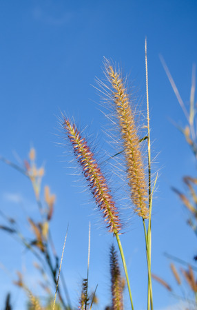 The other side of the skyの写真素材