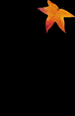 autumn background