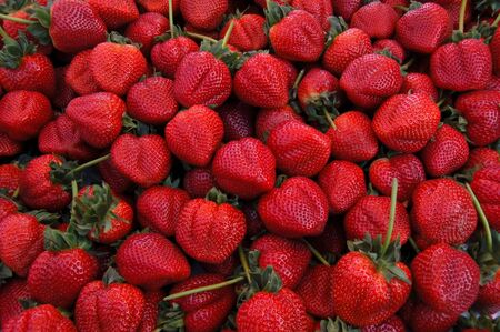 strawberriesの写真素材