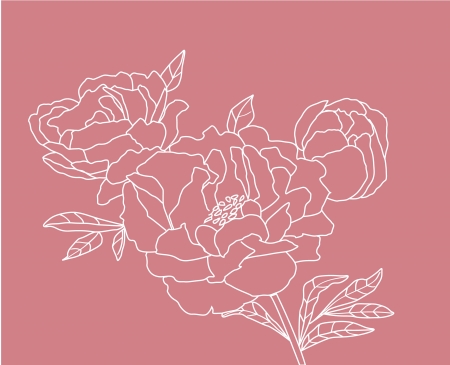 peonyのイラスト素材