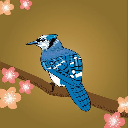 Blue jayのイラスト素材