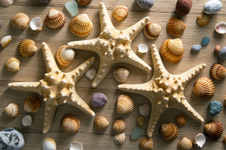 Beautiful background of sea shells and starfish
