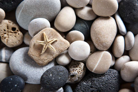 Beautiful background of sea stones and starfishの写真素材