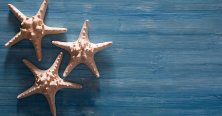 Beautiful background of sea shells and starfish on a blue backgroundの写真素材