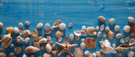 Beautiful background of sea shells and starfish on a blue background