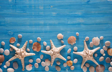 Beautiful background of sea shells and starfish on a blue backgroundの写真素材