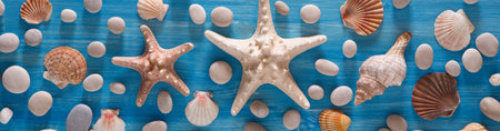 Beautiful background of sea shells and starfish on a blue background