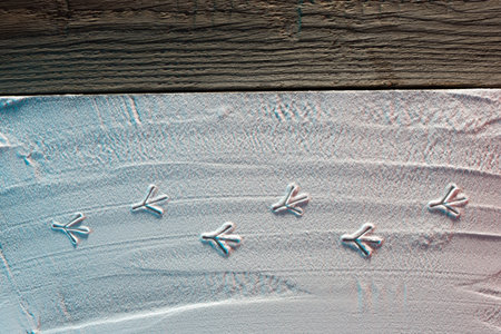 ? hristmas card with image of bird footprints on the snow and place for text