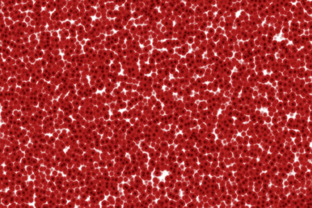 Anatomy organic background. molecular cell structure. 3d renderの写真素材