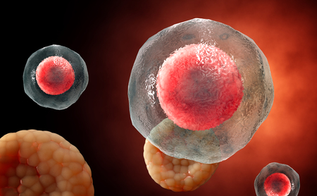 Virus. Bacteria.Viruses in infected organism , viral disease epidemic. 3d renderの写真素材