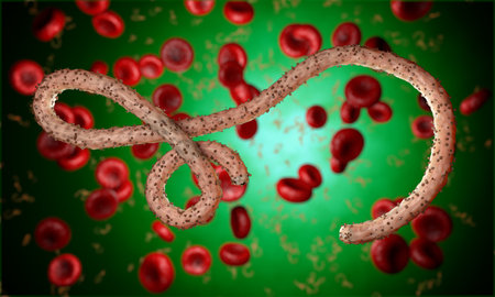 Ebola virus, bacteria, virus , epidemic. Realistic 3d render virus Ebola with blood cell inside organism.の写真素材