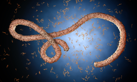 Ebola virus, bacteria, virus , epidemic. Realistic 3d render virus Ebola with blood cell inside organism.の写真素材