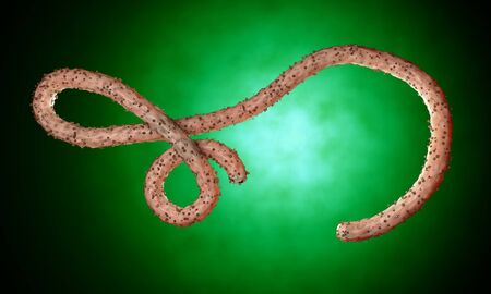 Ebola virus, bacteria, virus , epidemic. Realistic 3d render virus Ebola with blood cell inside organism.の写真素材