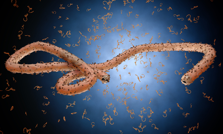 Ebola virus, bacteria, virus , epidemic. Realistic 3d render virus Ebola with blood cell inside organism.の写真素材