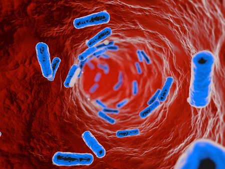 bacteria on an organic surface.の写真素材