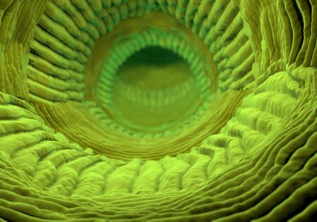 inside human organism view. Virus in organism. Organic anatomy structure.の写真素材