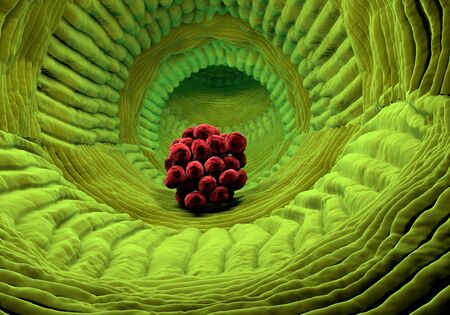 inside human organism view. Virus in organism. Organic anatomy structure.の写真素材