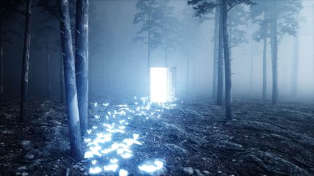 Glowing butterflies in fog night forest. Light portal door. Mistic and magic concept.3d render.の写真素材