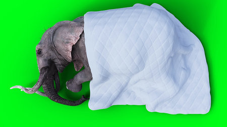 elephant sleeps under a blanket. 3d rendering.