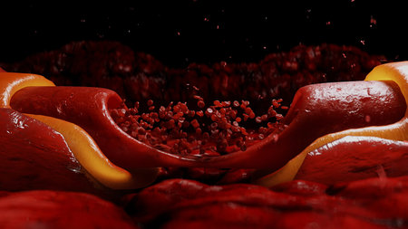 blood stream. red blood cells. Inside human body. 3d rendering.の写真素材