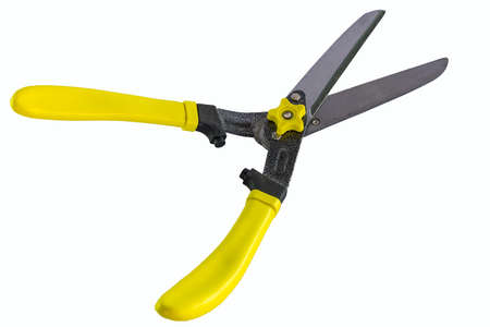 Grass shears isolated on white backgroundの写真素材