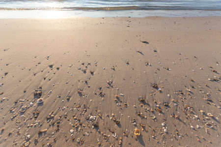 Nice sandy beach and shells in the morningの写真素材