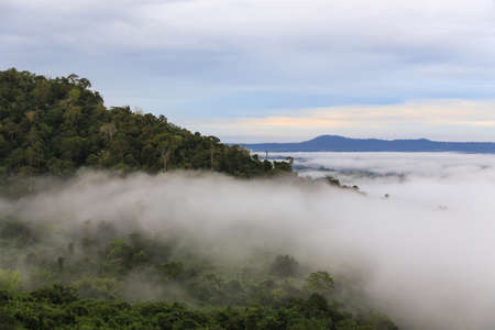 Viewpoint,beautiful tropical forest,mountain,mist at sunrise time in Khao kho,Phetchabun,Thailandの写真素材
