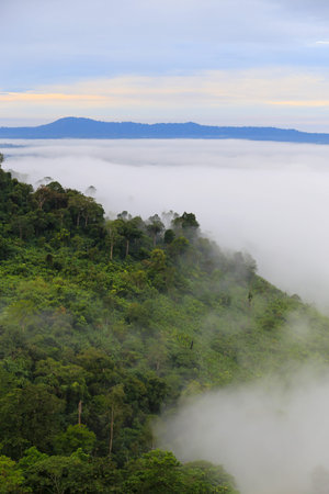 Viewpoint,beautiful tropical forest,mountain,mist at sunrise time in Khao kho,Phetchabun,Thailand
