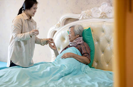Asian daughter or caregiver hold capsules or medicine pills in hand,giving pills to sick senior mother,elderly woman taking vitamin,nutritional supplements for help healthy at home,health care conceptの写真素材