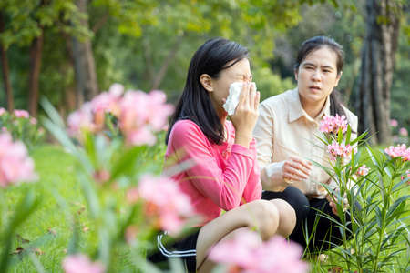 Asian child girl sneezes in paper handkerchief due to pollen allergies,woman allergy to blooming flowers,female teenage have allergic to pollen blowing nose in front of blooming tree in outdoor parkの写真素材