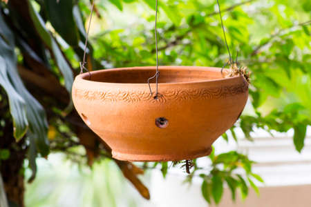 Empty Potの写真素材