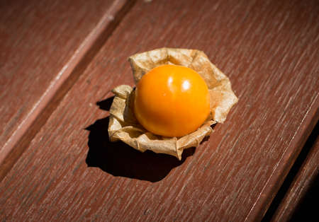 Cape Goosberryの写真素材