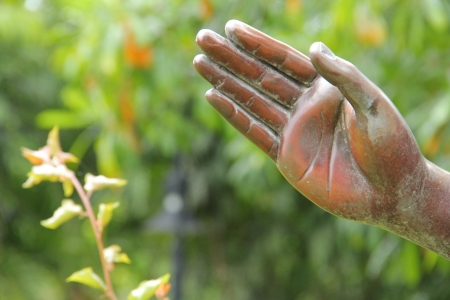 hand の写真素材