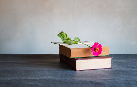 Old book and Flowerの写真素材