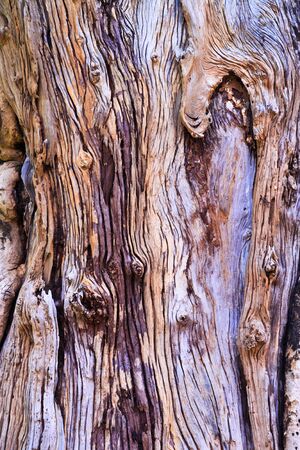 Woodの写真素材