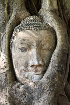 Buddha statueの写真素材
