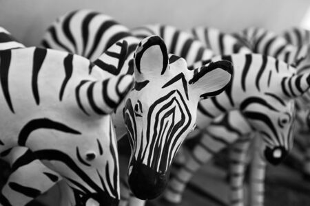 Zebra Stutueの写真素材