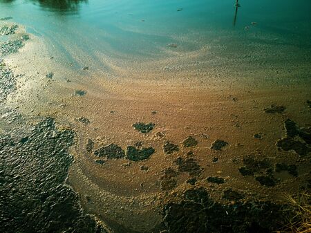 Lump of moss on the surface of the lake water. Moss texture viewの写真素材